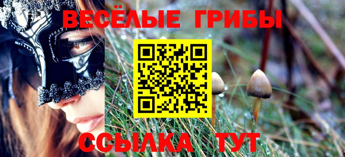 Псилоцибиновые грибы Cubensis  Вход с VPN  где найти   Тобольск 